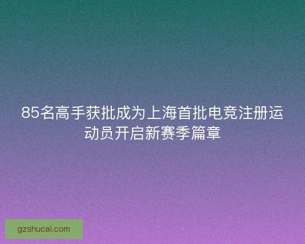 85名高手获批成为上海首批电竞注册运动员开启新赛季篇章